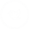 gallery/twitter_icon